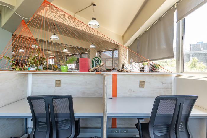 Desk detail with plants and design accents at Cape Town Office